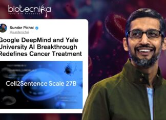 Google DeepMind and Yale University AI Breakthrough Redefines Cancer Treatment Google DeepMind and Yale University AI Breakthrough Redefines Cancer Treatment. AI model from Google DeepMind and Yale University highlighting cancer cells for advanced immunotherapy research