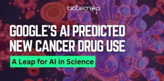 Google’s AI Suggests New Cancer Therapy