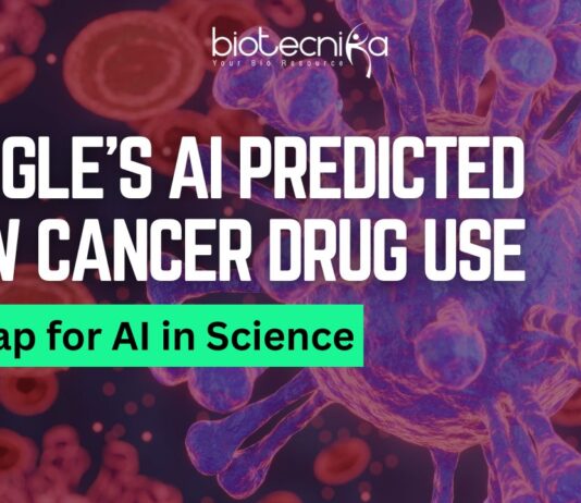 Google’s AI Suggests New Cancer Therapy