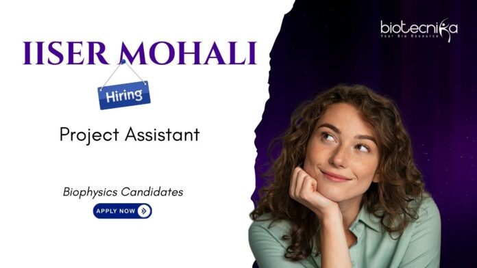 Project Assistant Jobs at IISER Mohali. Build your biophysics career under DBT-funded research project. Apply Now