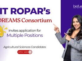 Research Careers at IIT Ropar. DREAMS Consortium. Apply for Senior Project Associate and Scientific & Administrative Assistant positions.
