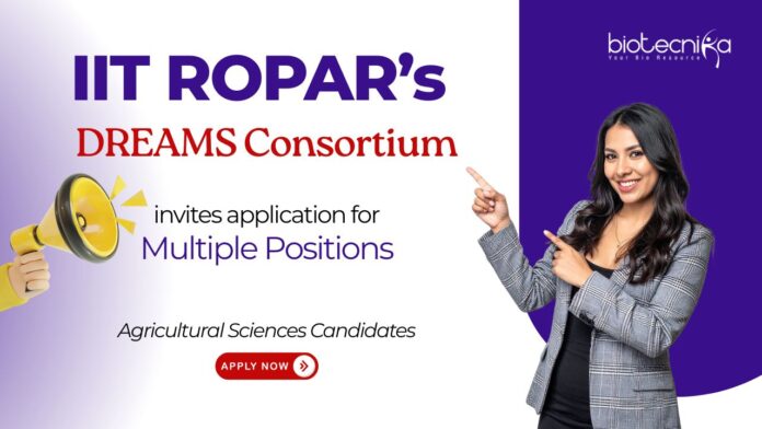 Research Careers at IIT Ropar. DREAMS Consortium. Apply for Senior Project Associate and Scientific & Administrative Assistant positions.
