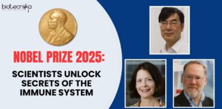 Nobel Prize 2025: Scientists Unlock Secrets of the Immune System