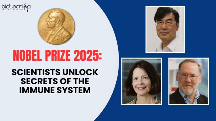 Nobel Prize 2025: Scientists Unlock Secrets of the Immune System