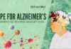 Hope For Alzheimer’s: Nanoparticles Reverse Memory Loss Nanoparticles for Alzheimer’s treatment - Can This Reverse Memory Loss?