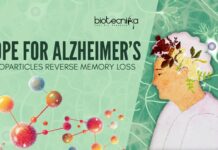 Nanoparticles for Alzheimer’s treatment - Can This Reverse Memory Loss?
