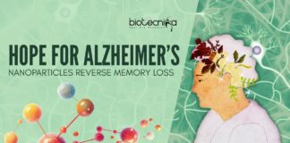 Nanoparticles for Alzheimer’s treatment - Can This Reverse Memory Loss?