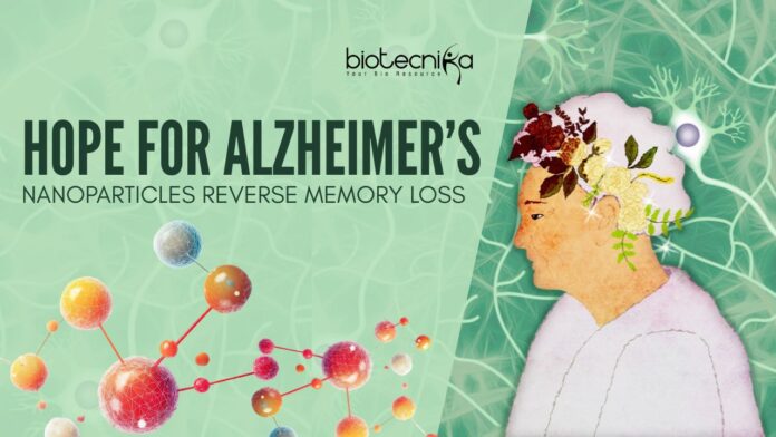Nanoparticles for Alzheimer’s treatment - Can This Reverse Memory Loss?