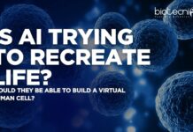 How AI Is Trying to Recreate Life: The Race to Build a Virtual Human Cell