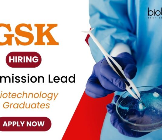 Job for BSc Graduates in Bangalore - GSK Careers Apply Now