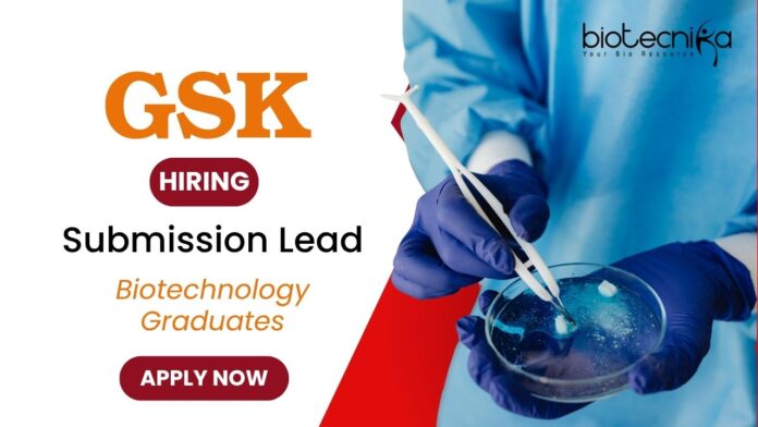 Job for BSc Graduates in Bangalore - GSK Careers Apply Now