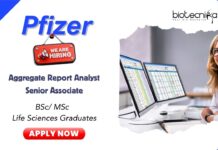 Join Pfizer as a PSSR Aggregate Report Analyst in Chennai!