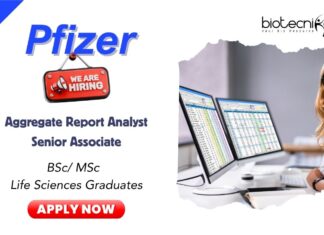 Join Pfizer as a PSSR Aggregate Report Analyst in Chennai!