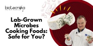 Lab-Grown Microbes Cooking Foods Safe for You