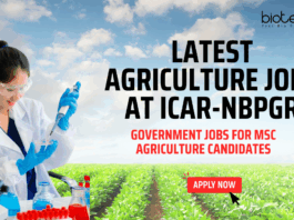 Latest Agriculture Jobs at ICAR-NBPGR - Government Jobs for MSc Agriculture Candidates - Apply Now
