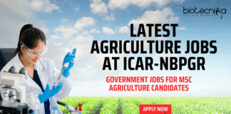 Latest Agriculture Jobs at ICAR-NBPGR - Government Jobs for MSc Agriculture Candidates - Apply Now