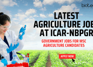Latest Agriculture Jobs at ICAR-NBPGR – MSc Agriculture Candidates Apply Now Latest Agriculture Jobs at ICAR-NBPGR - Government Jobs for MSc Agriculture Candidates - Apply Now