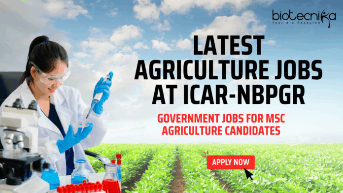 Latest Agriculture Jobs at ICAR-NBPGR - Government Jobs for MSc Agriculture Candidates - Apply Now