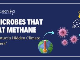 From Seafloor to Science Labs: The Hunt for Microbes That Could Save Earth