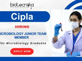 Microbiology Jobs at Cipla | QA & QC Careers in Sikkim – Apply Now Microbiology Job at Cipla – QA & QC Careers in Sikkim