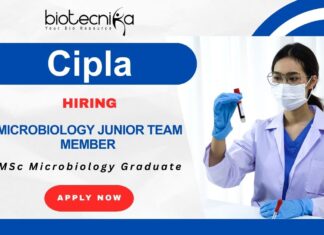Microbiology Jobs at Cipla | QA & QC Careers in Sikkim – Apply Now Microbiology Job at Cipla – QA & QC Careers in Sikkim