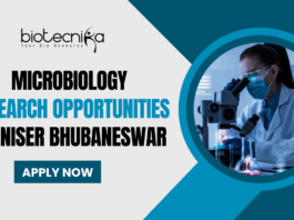 Microbiology Research Opportunities at NISER Bhubaneswar - Government Research Vacancy in India - Apply Now
