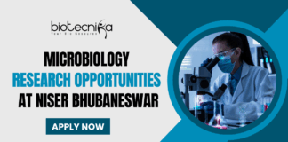Microbiology Research Opportunities at NISER Bhubaneswar - Government Research Vacancy in India - Apply Now