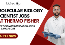 Molecular Biology Scientist Jobs at Thermo Fisher - Life Sciences Research Jobs in Bangalore - Apply Now