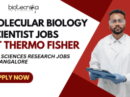Molecular Biology Scientist Jobs at Thermo Fisher - Life Sciences Research Jobs in Bangalore - Apply Now