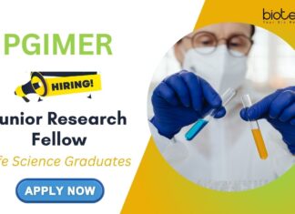 Land Your Dream Job as a Junior Research Fellow at PGIMER Chandigarh | Apply Now PGIMER Vacancies | Junior Research Fellow Recruitment 2025 - Apply Now