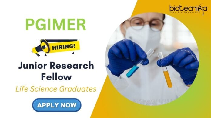 PGIMER Vacancies | Junior Research Fellow Recruitment 2025 - Apply Now