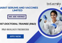 PhD Opportunities at Bharat Serums and Vaccines Limited Post-doctoral Trainee (R&D) Role