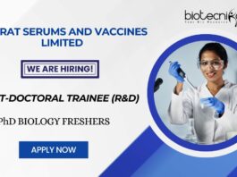 PhD Opportunities at Bharat Serums and Vaccines Limited Post-doctoral Trainee (R&D) Role