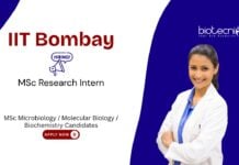 Research Intern at IIT Bombay. MSc Microbiology internship. MSc in Microbiology, Molecular Biology, or Biochemistry candidates, Apply Now.