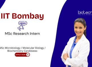 Research Intern at IIT Bombay. MSc Microbiology internship. MSc in Microbiology, Molecular Biology, or Biochemistry candidates, Apply Now.