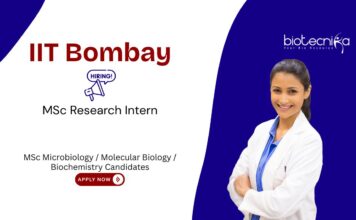 Research Intern at IIT Bombay. MSc Microbiology internship. MSc in Microbiology, Molecular Biology, or Biochemistry candidates, Apply Now.