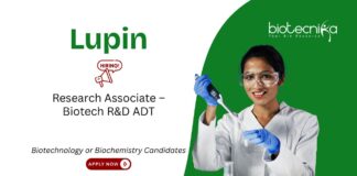 Research Associate Job at Lupin. Masters in Biotechnology or Biochemistry Candidates, Apply Now for R&D jobs & Biotech jobs.