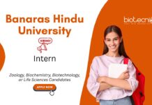 Internship for Biotechnology Students at Banaras Hindu University, Banaras. Zoology Internship. Life Sciences candidates, Apply Now.