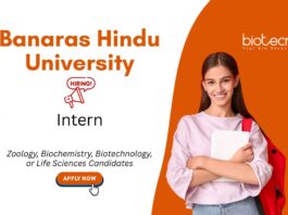 Internship for Biotechnology Students at Banaras Hindu University, Banaras. Zoology Internship. Life Sciences candidates, Apply Now.