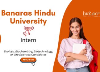 Internship for Biotechnology Students at Banaras Hindu University |  Apply Now Internship for Biotechnology Students at Banaras Hindu University, Banaras. Zoology Internship. Life Sciences candidates, Apply Now.