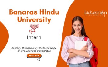 Internship for Biotechnology Students at Banaras Hindu University, Banaras. Zoology Internship. Life Sciences candidates, Apply Now.