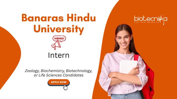 Internship for Biotechnology Students at Banaras Hindu University, Banaras. Zoology Internship. Life Sciences candidates, Apply Now.