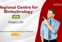JRF Job at the Regional Centre for Biotechnology. Great opportunity for postgraduates in Molecular Biology and Biotechnology.