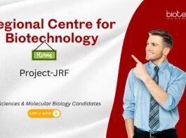 JRF Job at the Regional Centre for Biotechnology. Great opportunity for postgraduates in Molecular Biology and Biotechnology.