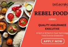 QA Jobs at Rebel Foods Career Apply for the Food Technology Job Now