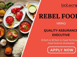 QA Jobs at Rebel Foods Career Apply for the Food Technology Job Now