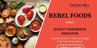 QA Jobs at Rebel Foods Career Apply for the Food Technology Job Now