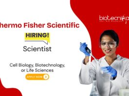 Scientist Job at Thermo Fisher. Freshers with an education in Cell Biology, Biotechnology, or Life Sciences, Apply Now. Job in Bangalore.