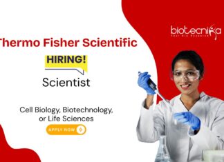 Scientist Job at Thermo Fisher. Freshers with an education in Cell Biology, Biotechnology, or Life Sciences, Apply Now. Job in Bangalore.