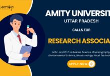 Research Associate Position for an MoES-funded project – Apply Now at Amity Noida Careers!